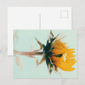 Klokkenhuis voor blooming aankondigingskaart (Voorkant / Achterkant)