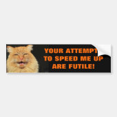 Klokkenluiders Pogingen zijn Futile Cat Meme Bumpersticker (Voorkant)