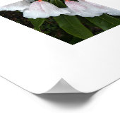Klokvormige Rododendrons Bloemfotografie Poster (Hoek)