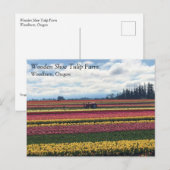 Klomp Tulip Boerderij, Woodburn, Oregon Briefkaart (Voorkant / Achterkant)
