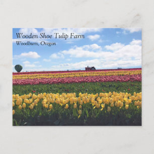 Klomp Tulip Boerderij, Woodburn, Oregon Briefkaart