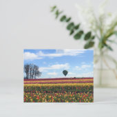 Klomp Tulip Boerderij, Woodburn, Oregon Briefkaart (Staand voorkant)