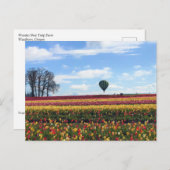 Klomp Tulip Boerderij, Woodburn, Oregon Briefkaart (Voorkant / Achterkant)