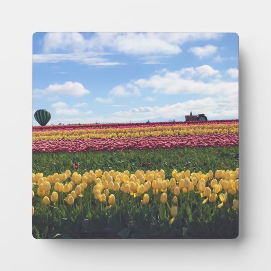 Klomp Tulip Boerderij, Woodburn, Oregon Fotoplaat (Voorkant)