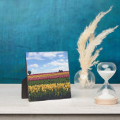 Klomp Tulip Boerderij, Woodburn, Oregon Fotoplaat (Insitu)