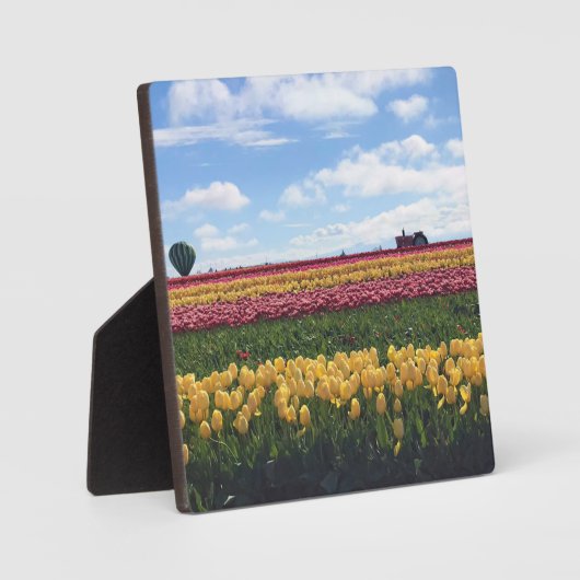 Klomp Tulip Boerderij, Woodburn, Oregon Fotoplaat (Voorkant)