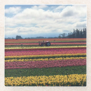 Klomp Tulip Boerderij, Woodburn, Oregon Glazen Onderzetter