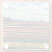 Klomp Tulip Boerderij, Woodburn, Oregon Glazen Onderzetter (Achterkant)