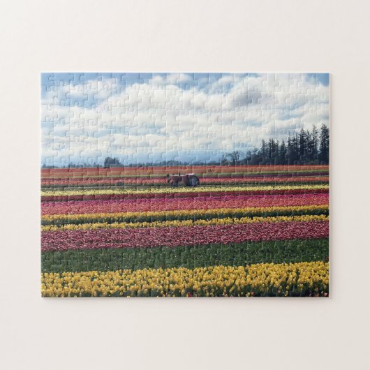 Klomp Tulip Boerderij, Woodburn, Oregon Legpuzzel (Horizontaal)