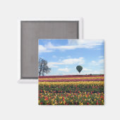 Klomp Tulip Boerderij, Woodburn, Oregon Magneet (Voorkant / Achterkant)