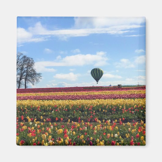 Klomp Tulip Boerderij, Woodburn, Oregon Magneet (Voorkant)