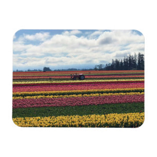 Klomp Tulip Boerderij, Woodburn, Oregon Magneet