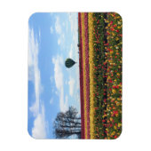 Klomp Tulip Boerderij, Woodburn, Oregon Magneet (Verticaal)