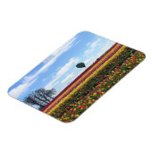 Klomp Tulip Boerderij, Woodburn, Oregon Magneet (Linkerzijde)