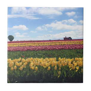 Klomp Tulip Boerderij, Woodburn, Oregon Tegeltje