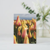Klomp Tulp Boerderij verticaal Briefkaart (Staand voorkant)