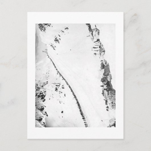 Klondikers van Alaska Briefkaart (Voorkant)