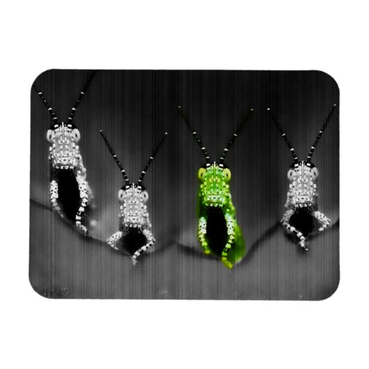 klonterige groene bug magneet (Horizontaal)