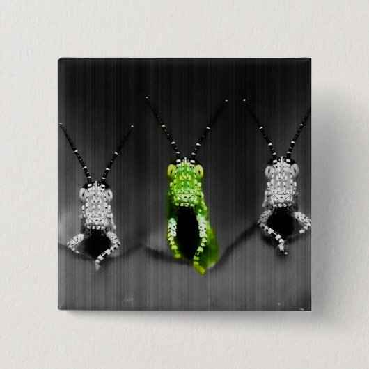 klonterige groene bug vierkante button 5,1 cm (Voorkant)