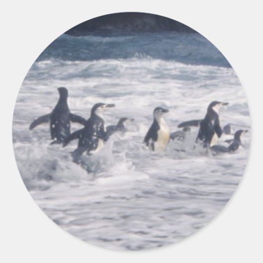 Klooienpinguïns op het surf ronde sticker (Voorkant)