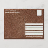 KLOOSTERS VAN SERVIË - Sopoćani orthodox klooster Feestdagenkaart (Achterkant)