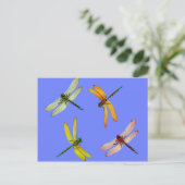 KLORFUL DRAGONFLIES OP BLAUW BRIEFKAART (Staand voorkant)