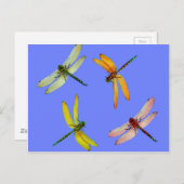 KLORFUL DRAGONFLIES OP BLAUW BRIEFKAART (Voorkant / Achterkant)