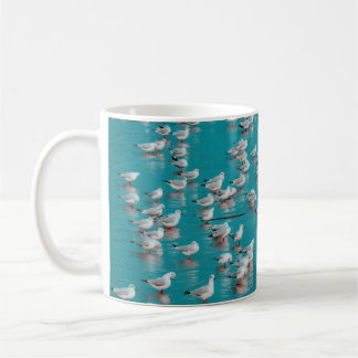 KLOT GRAY BIRDS KOFFIEMOK