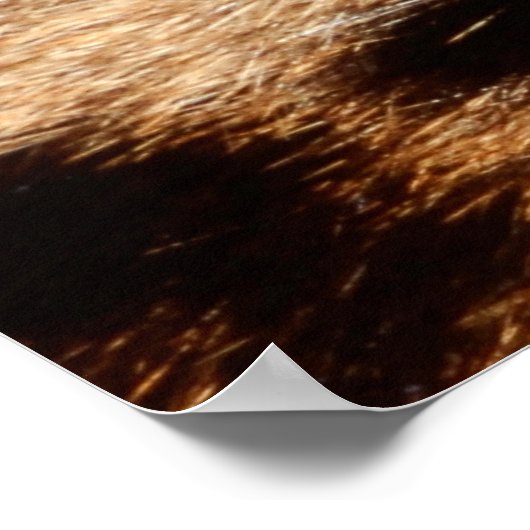 klouwersvacht poster (Hoek)