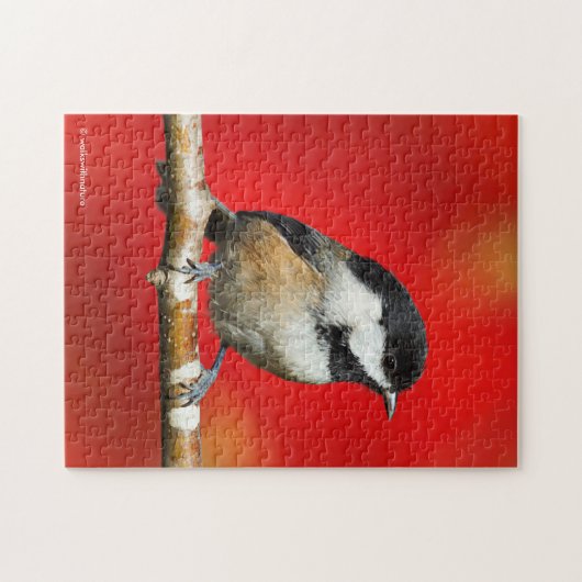 Kluipkip met zwarte afdekking met rode herfst-blad legpuzzel (Horizontaal)