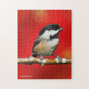 Kluipkip met zwarte afdekking met rode herfst-blad legpuzzel