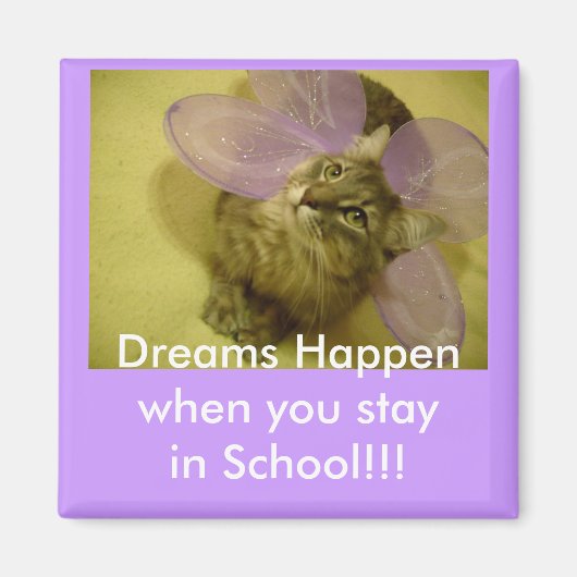 kluismagneet magneet (Voorkant)