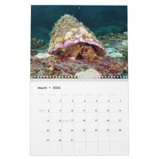 kluizenaarskrab kalender (Mar 2026)