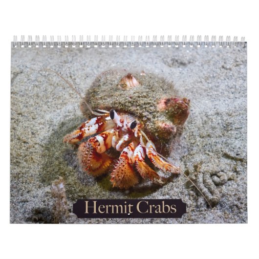 kluizenaarskrab kalender (Hoes)