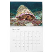 kluizenaarskrab kalender (Mar 2027)