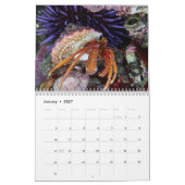kluizenaarskrab kalender (Jan 2027)
