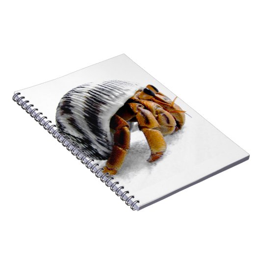 Kluizenkrab Notitieboek (Rechterzijde)