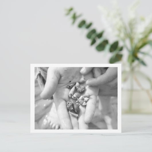 Kluizenkrabben Briefkaart (Staand voorkant)