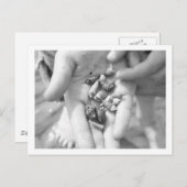 Kluizenkrabben Briefkaart (Voorkant / Achterkant)