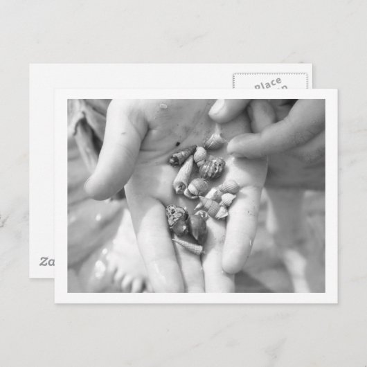 Kluizenkrabben Briefkaart (Voorkant / Achterkant)