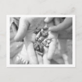 Kluizenkrabben Briefkaart (Voorkant)