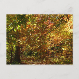 Kluwen van herfstbladeren II Geel herfstfotografie Briefkaart