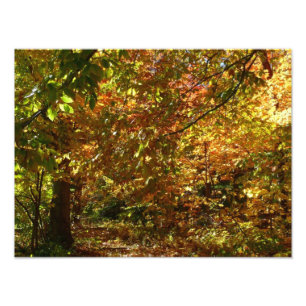 Kluwen van herfstbladeren II Gele herfst fotografi Foto Afdruk