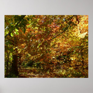 Kluwen van herfstbladeren II Gele herfst fotografi Poster