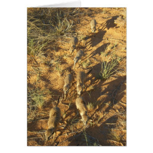 KMP-kaart 10 - bijenhouderij