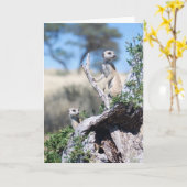 KMP Kaart 15 - de schildwachten van Bakkebaarden (Gele Bloem)