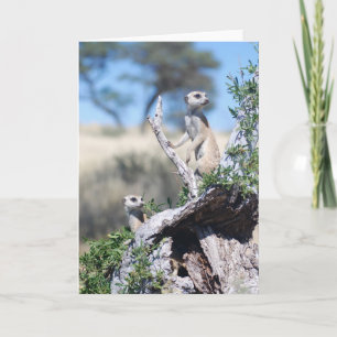 KMP Kaart 15 - de schildwachten van Bakkebaarden