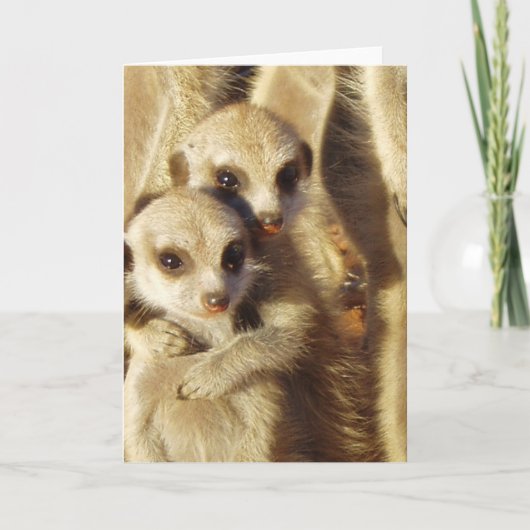 KMP Kaart 1 - Dartel Jongen (Voorkant)