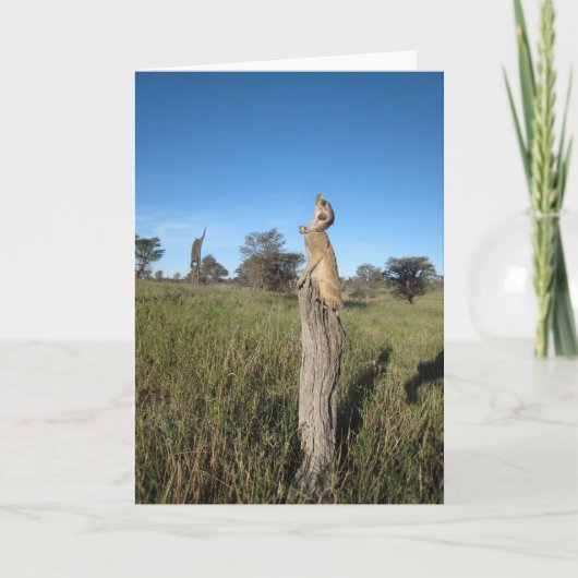 KMP Kaart 2 - Monkulus (Voorkant)