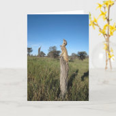 KMP Kaart 2 - Monkulus (Gele Bloem)